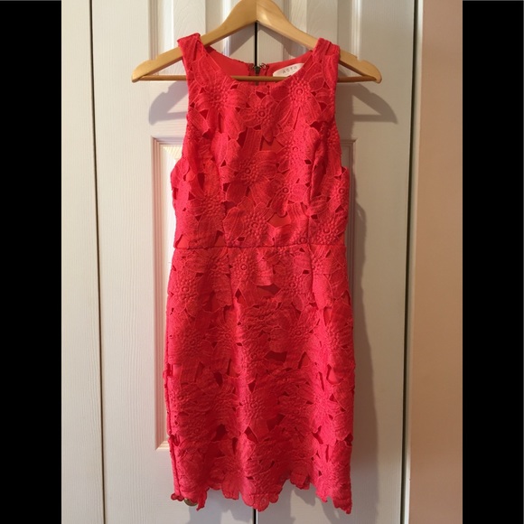 Beautiful Rich Coral Lace Mini by Astr The Label - Picture 2 of 8